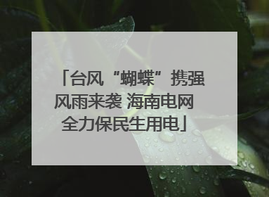 台风“蝴蝶”携强风雨来袭 海南电网全力保民生用电