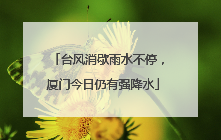 台风消歇雨水不停，厦门今日仍有强降水