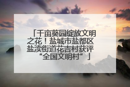 千亩葵园绽放文明之花！盐城市盐都区盐渎街道花吉村获评“全国文明村”