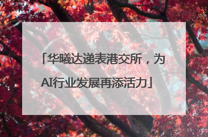 华曦达递表港交所，为AI行业发展再添活力