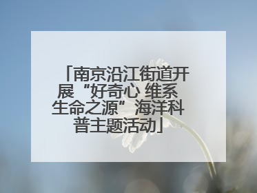 南京沿江街道开展“好奇心 维系生命之源”海洋科普主题活动