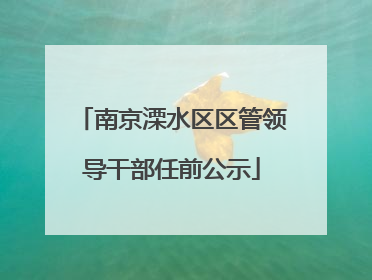 南京溧水区区管领导干部任前公示