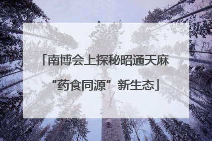 南博会上探秘昭通天麻“药食同源”新生态