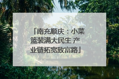 南充顺庆：小菜篮装满大民生 产业链拓宽致富路