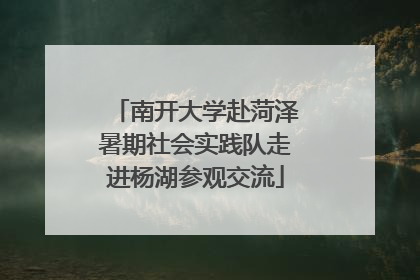 南开大学赴菏泽暑期社会实践队走进杨湖参观交流