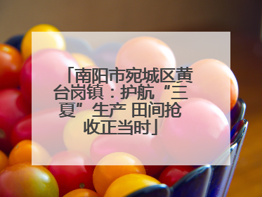 南阳市宛城区黄台岗镇：护航“三夏”生产 田间抢收正当时