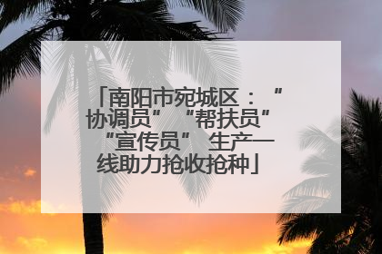 南阳市宛城区：“协调员”“帮扶员”“宣传员” 生产一线助力抢收抢种