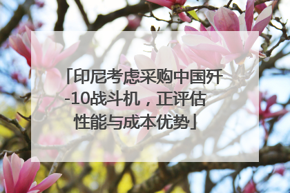 印尼考虑采购中国歼-10战斗机，正评估性能与成本优势