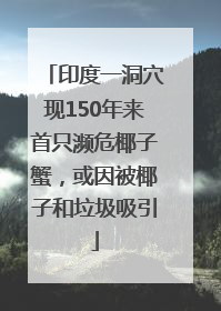 印度一洞穴现150年来首只濒危椰子蟹，或因被椰子和垃圾吸引