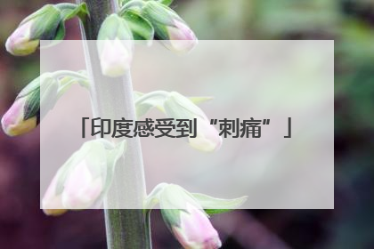 印度感受到“刺痛”