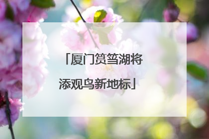 厦门筼筜湖将添观鸟新地标