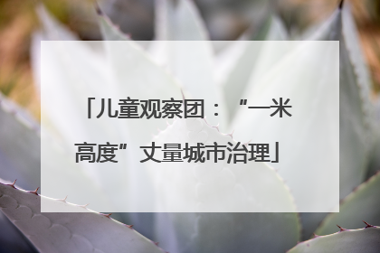儿童观察团：“一米高度”丈量城市治理