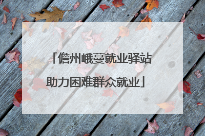 儋州峨蔓就业驿站助力困难群众就业