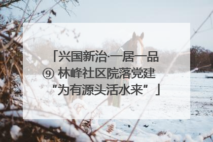 兴国新治·一居一品⑨ 林峰社区院落党建“为有源头活水来”