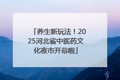 养生新玩法！2025河北省中医药文化夜市开幕啦
