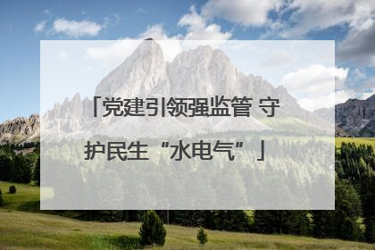 党建引领强监管 守护民生“水电气”