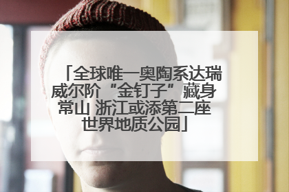 全球唯一奥陶系达瑞威尔阶“金钉子”藏身常山 浙江或添第二座世界地质公园