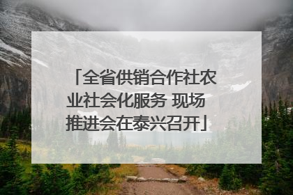 全省供销合作社农业社会化服务 现场推进会在泰兴召开