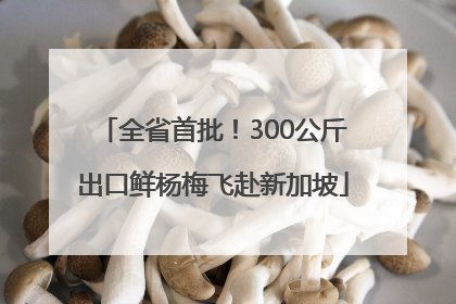 全省首批！300公斤出口鲜杨梅飞赴新加坡