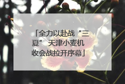 全力以赴战“三夏” 天津小麦机收会战拉开序幕