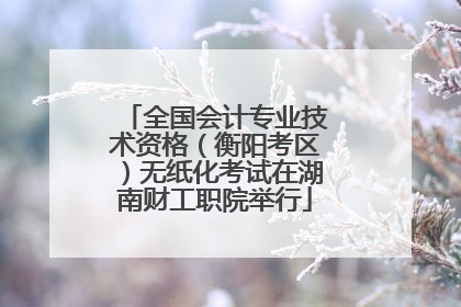全国会计专业技术资格（衡阳考区）无纸化考试在湖南财工职院举行