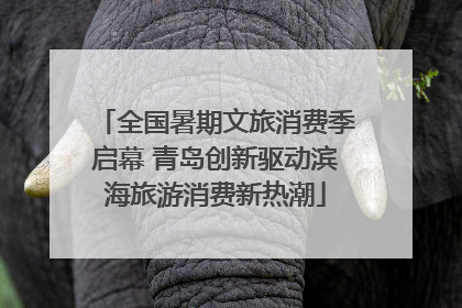 全国暑期文旅消费季启幕 青岛创新驱动滨海旅游消费新热潮