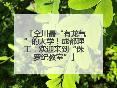 全川最“有龙气”的大学！成都理工：欢迎来到“侏罗纪教室”