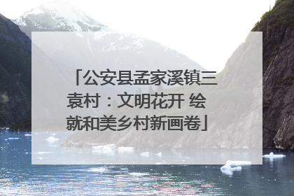 公安县孟家溪镇三袁村：文明花开 绘就和美乡村新画卷