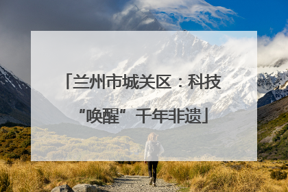兰州市城关区：科技“唤醒”千年非遗
