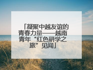 凝聚中越友谊的青春力量——越南青年“红色研学之旅”见闻