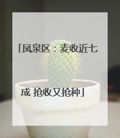 凤泉区：麦收近七成 抢收又抢种