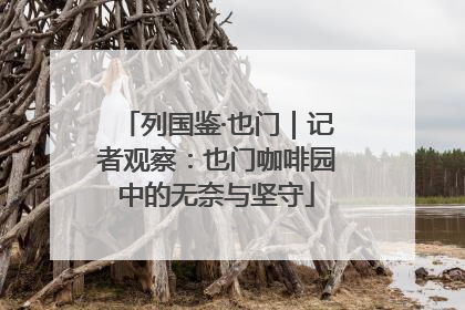 列国鉴·也门｜记者观察：也门咖啡园中的无奈与坚守