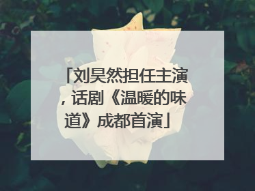 刘昊然担任主演，话剧《温暖的味道》成都首演