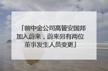 前中金公司高管安国邦加入蔚来，蔚来另有两位董事发生人员变更