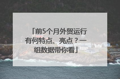 前5个月外贸运行有何特点、亮点？一组数据带你看