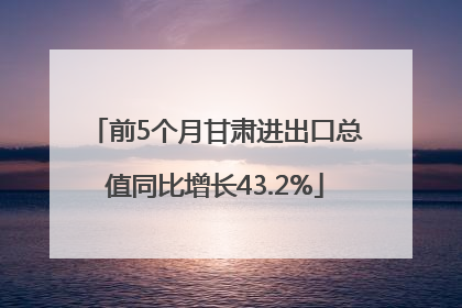 前5个月甘肃进出口总值同比增长43.2%