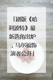 剧版《哈利波特》最新选角出炉，马尔福饰演者公开