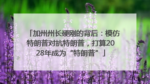 加州州长硬刚的背后：模仿特朗普对抗特朗普，打算2028年成为“特朗普”
