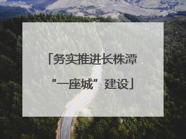 务实推进长株潭“一座城”建设