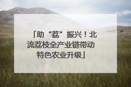 助“荔”振兴！北流荔枝全产业链带动特色农业升级