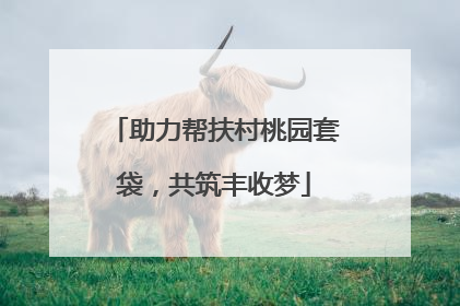 助力帮扶村桃园套袋，共筑丰收梦