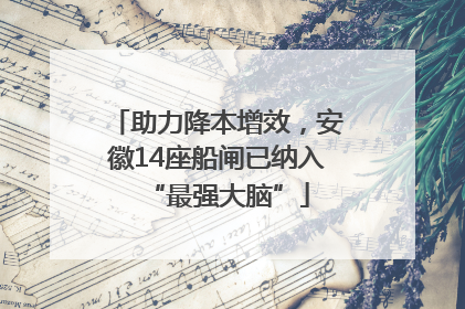 助力降本增效，安徽14座船闸已纳入“最强大脑”