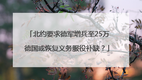 北约要求德军增兵至25万 德国或恢复义务服役补缺？