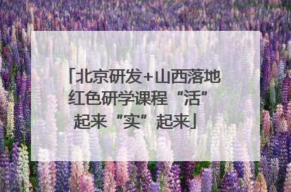 北京研发+山西落地 红色研学课程“活”起来“实”起来