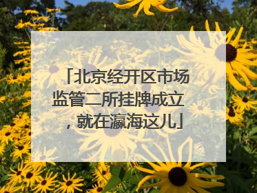 北京经开区市场监管二所挂牌成立，就在瀛海这儿
