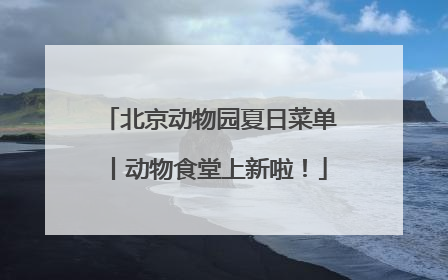 北京动物园夏日菜单丨动物食堂上新啦！