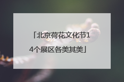北京荷花文化节14个展区各美其美