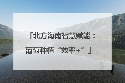 北方海南智慧赋能：葡萄种植“效率+”