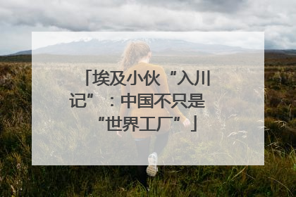埃及小伙“入川记”：中国不只是“世界工厂”