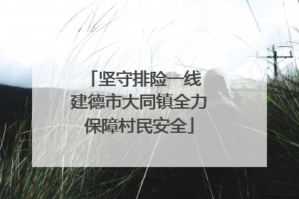 坚守排险一线 建德市大同镇全力保障村民安全
